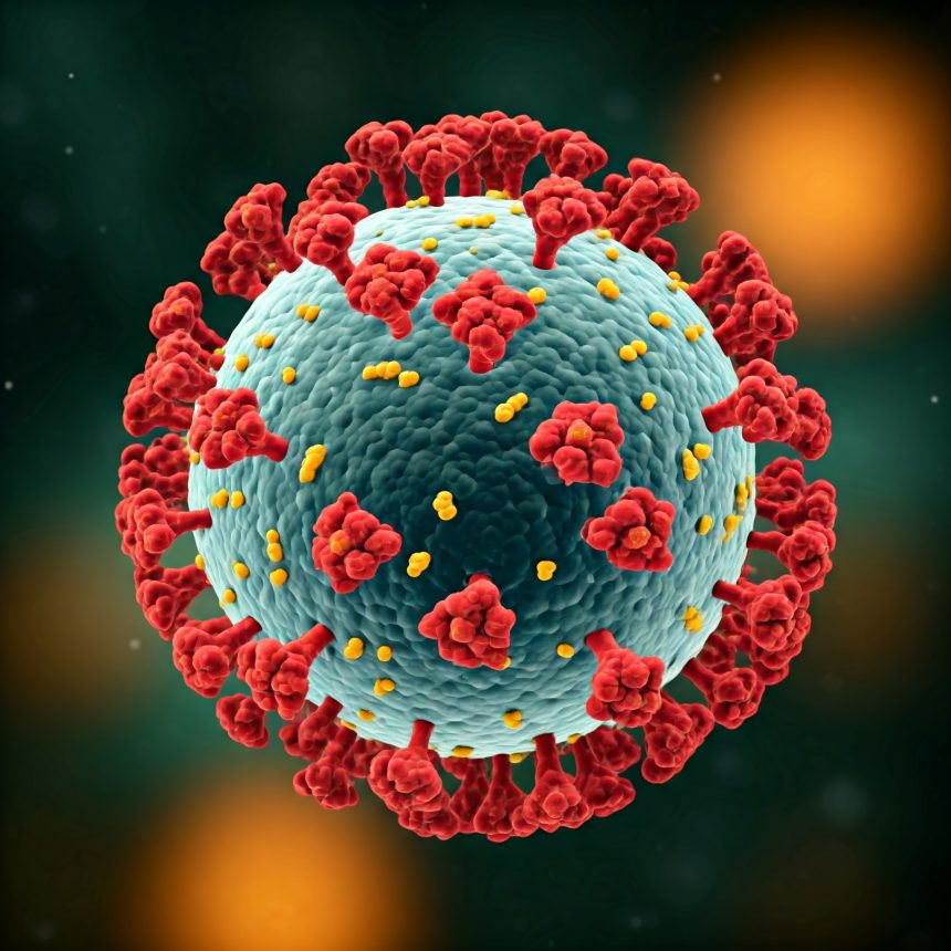 hmpv virus